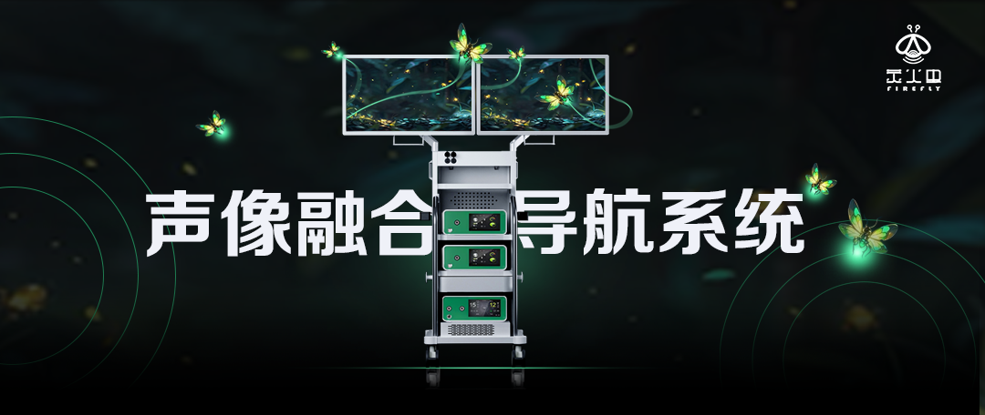 荧火虫.png